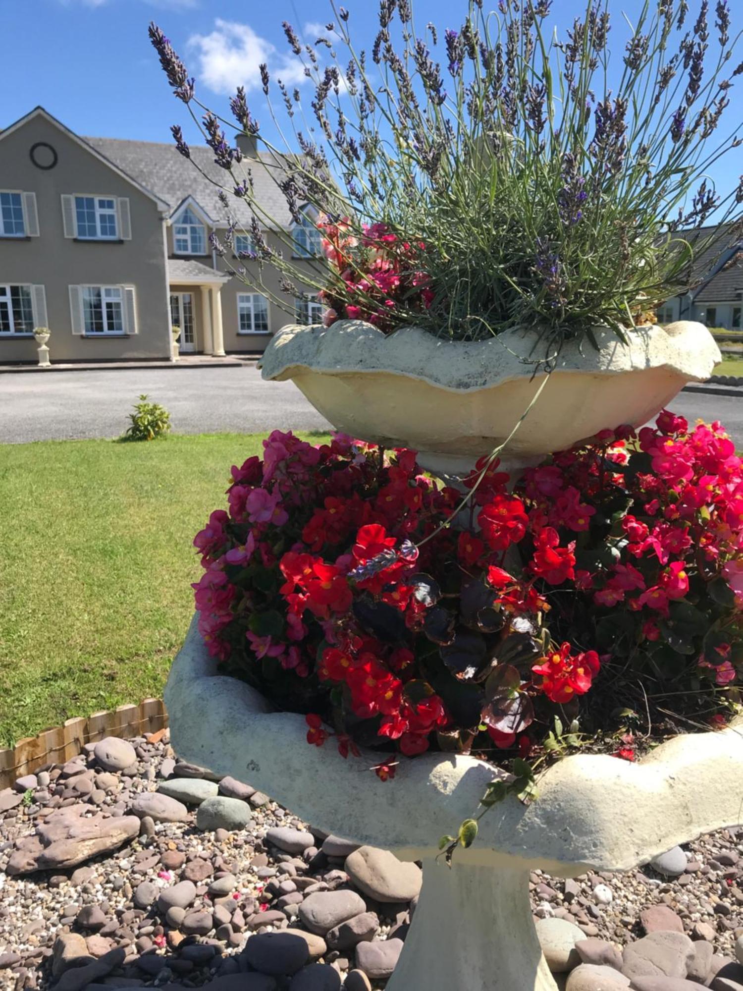 Kielty'S Of Kerry Bed And Breakfast Waterville Bagian luar foto